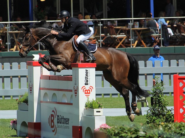 他不需要证 他不需要证