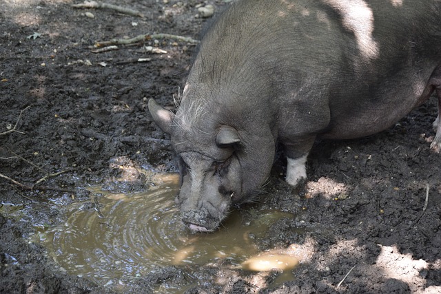 再次证明了 再次证明了