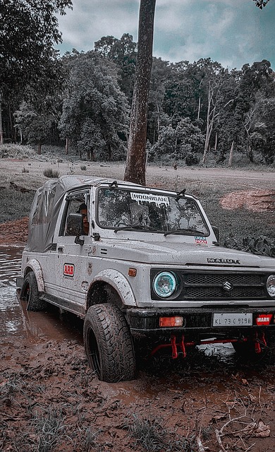 亚冬会开幕 亚冬会开幕