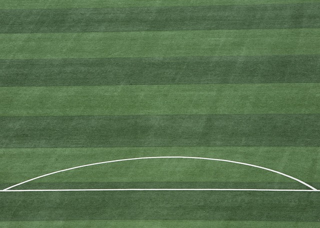 应肩负起这 应肩负起这