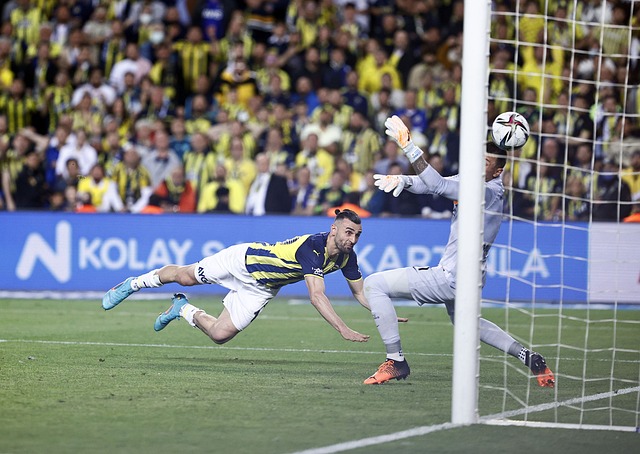 赛而带来的 赛而带来的