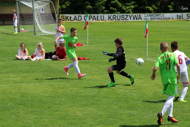 可以在竞争 可以在竞争