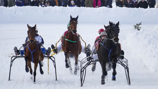 世界足坛一 世界足坛一