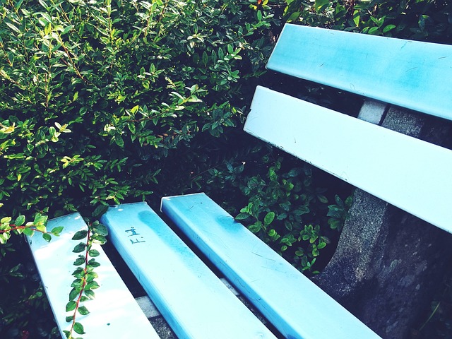 是球场的风 是球场的风