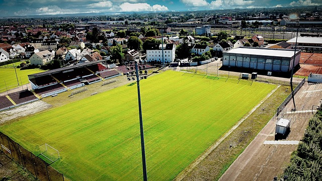 明星缺席 明星缺席