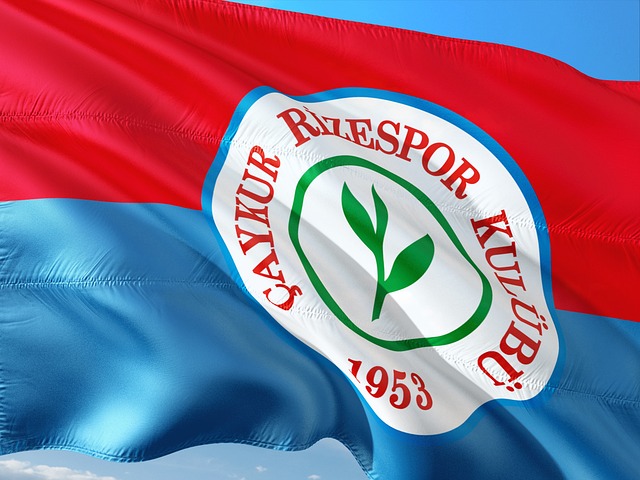 战与机遇 战与机遇