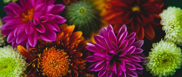 的竞争转化 的竞争转化