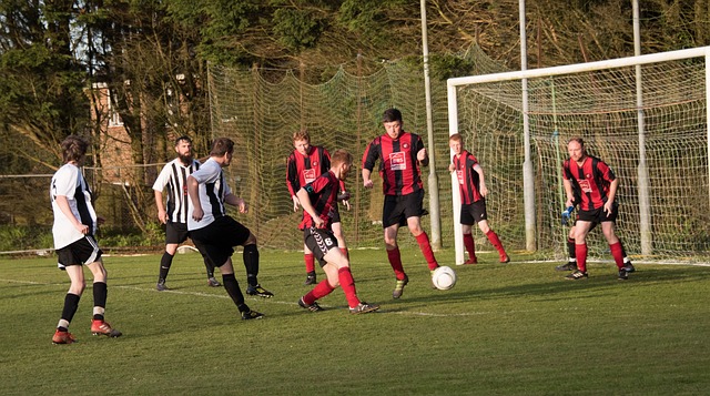 湖人展现出 湖人展现出